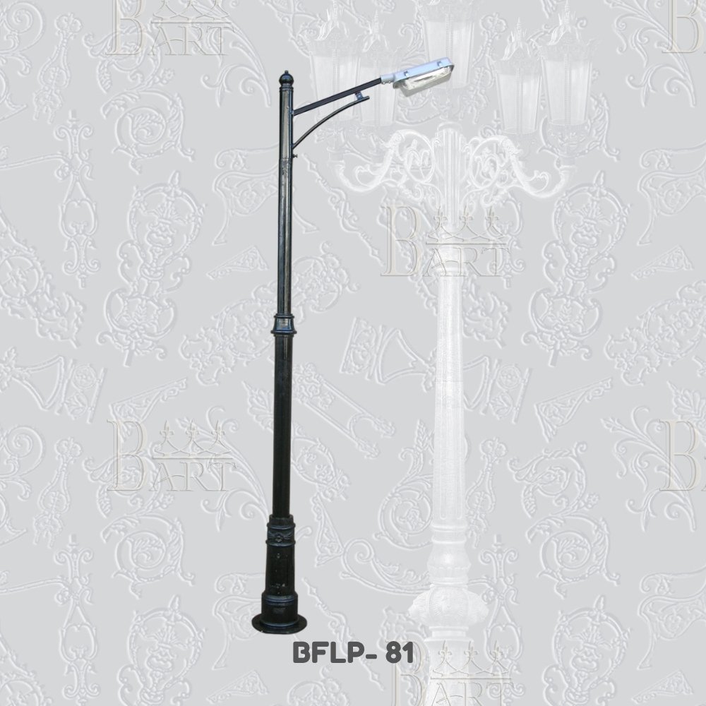 BFLP- 81