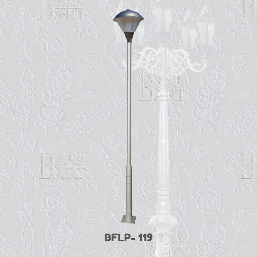 BFLP- 119