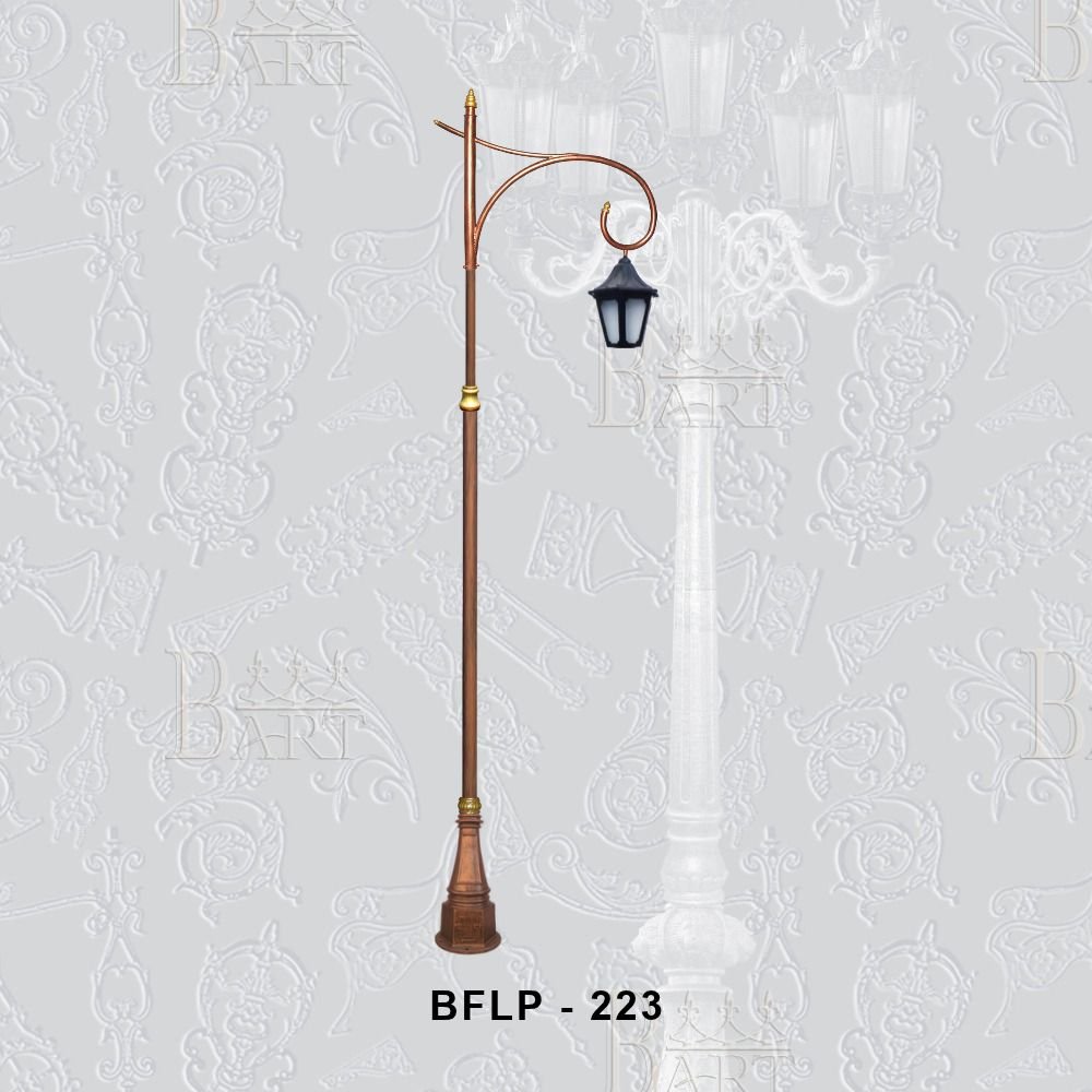 BFLP - 223